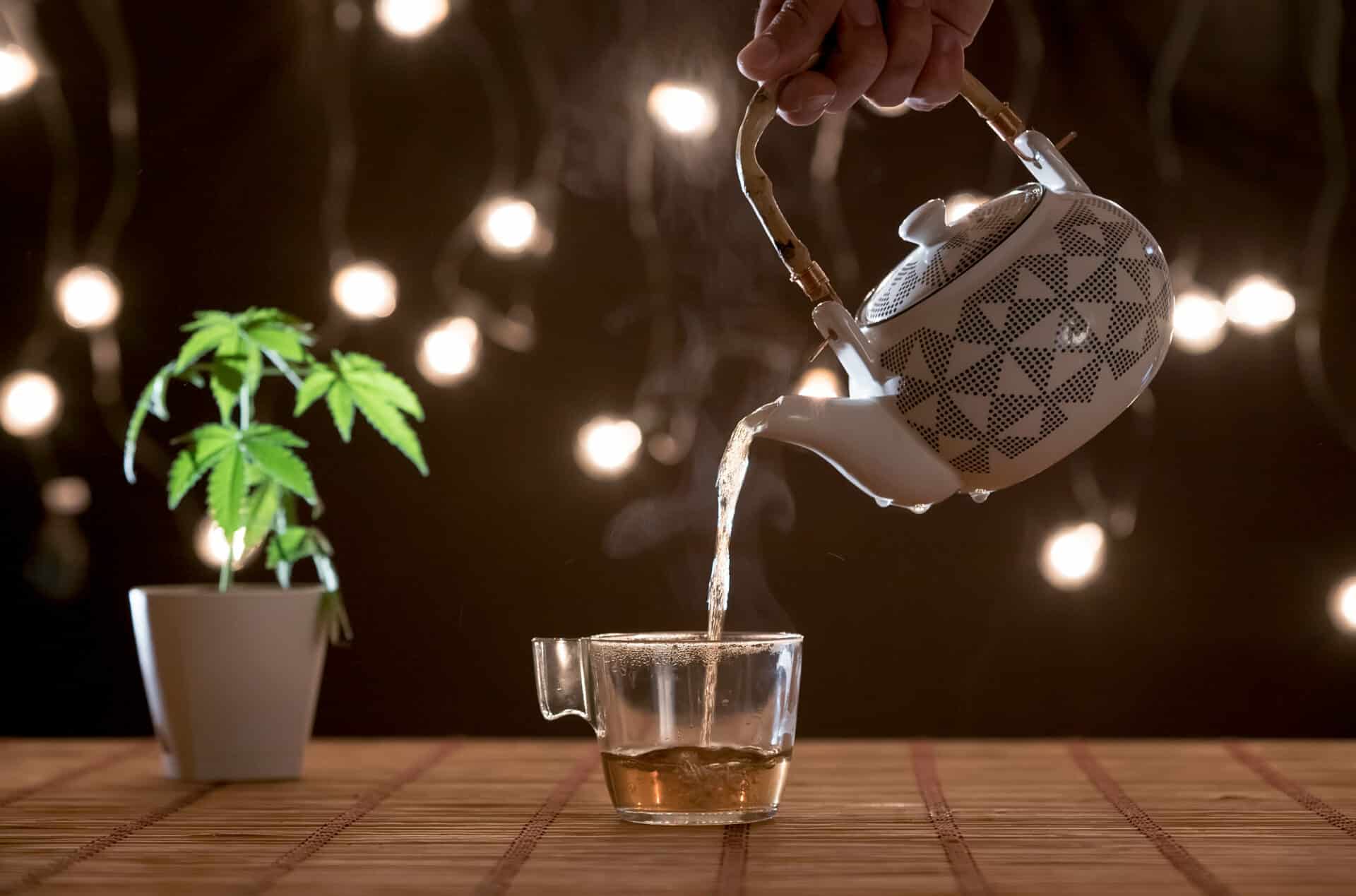 Eine person gießt tee in ein glas mit einer topfpflanze im hintergrund und präsentiert cbd santé und huile de cbd.
