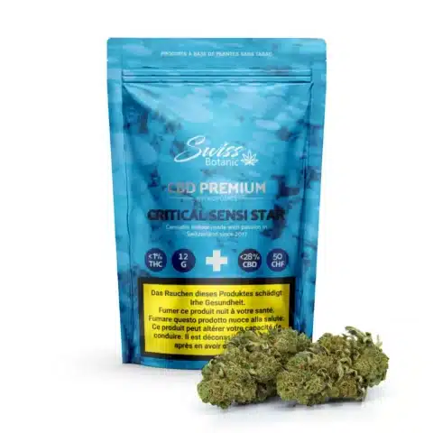 Critical sensi star indoor gorilla zkittlez indoor purple haze indoor cbd suisse cbd france top cbd