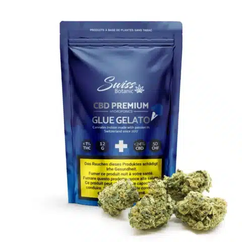 Glue gelato indoor gorilla zkittlez indoor purple haze indoor cbd suisse cbd france top cbd