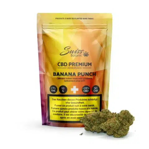 Fleur de cbd indoor banana punch par swiss botanic